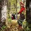 Kannettava polttomoottorivinssi Portable Winch PCW5000 puuhun kiinnitettynä.