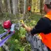 Portable Winch PCW4000 polttomoottorivinssi metsätöissä.