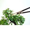 Bonsai sakset Okatsune 206 - Image 2