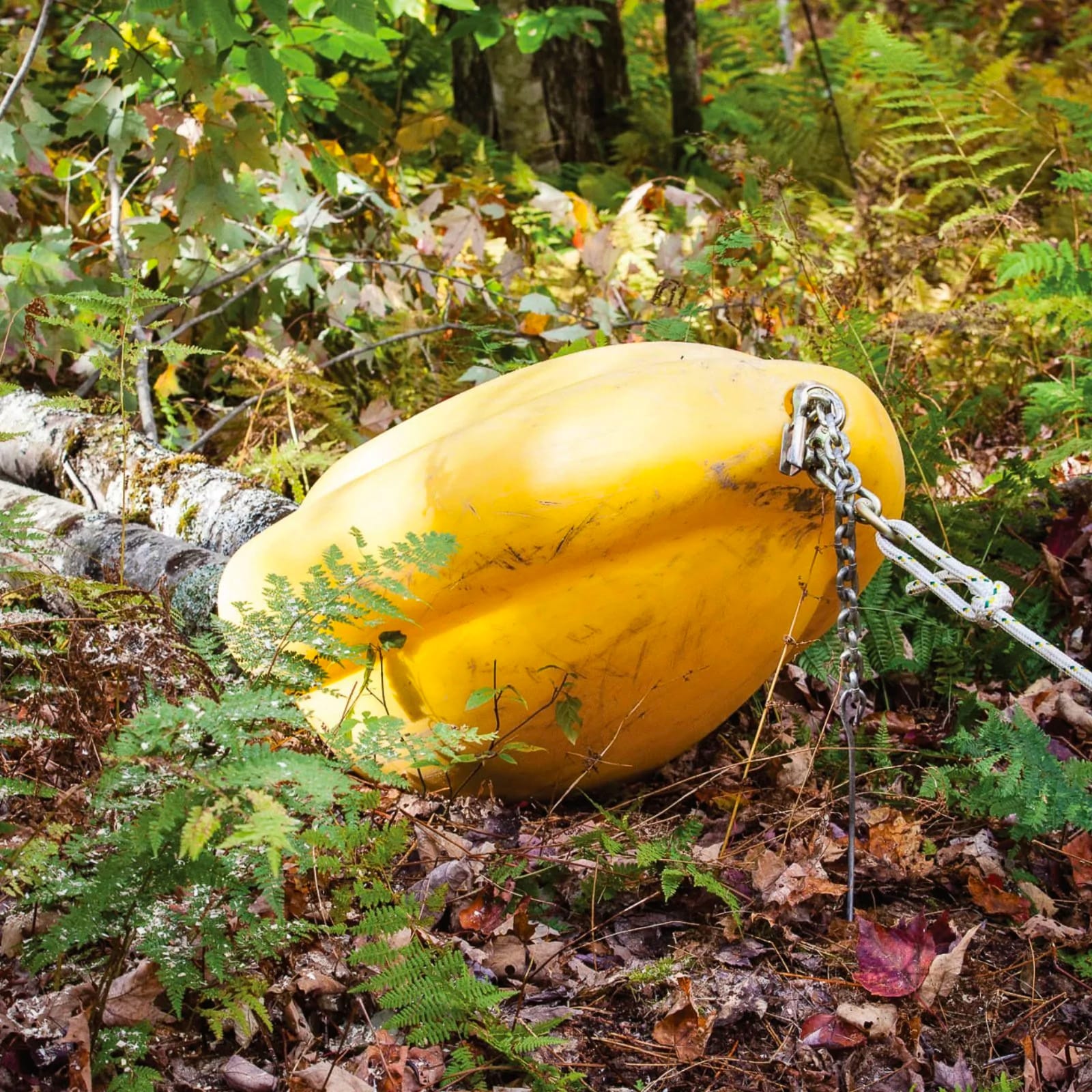 Juontokartio tukkien vinssaukseen - Image 4