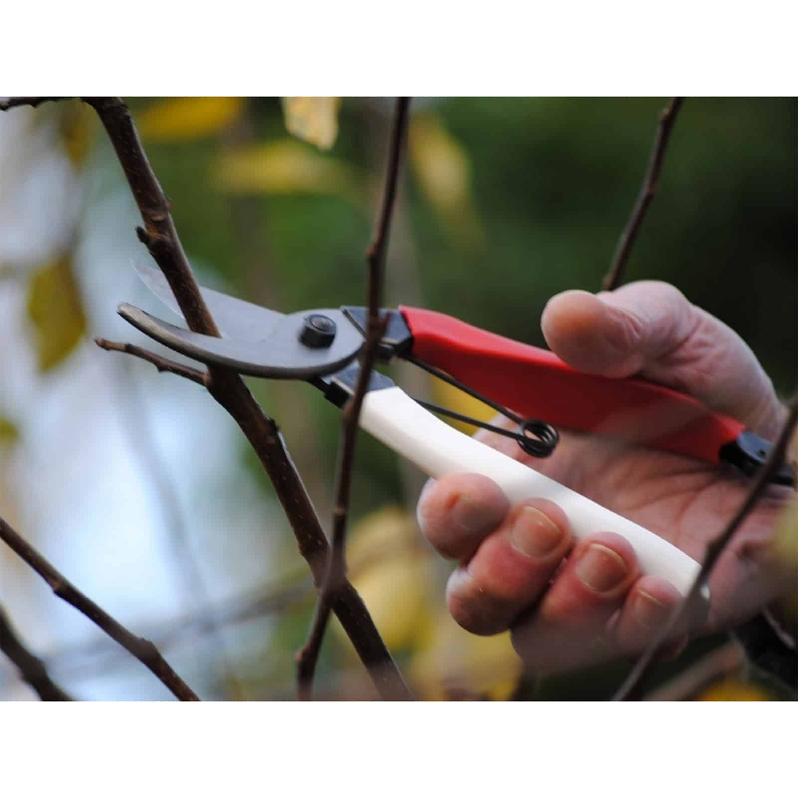 Okatsune lahjapakkaus KST103 + KST108 - Image 6