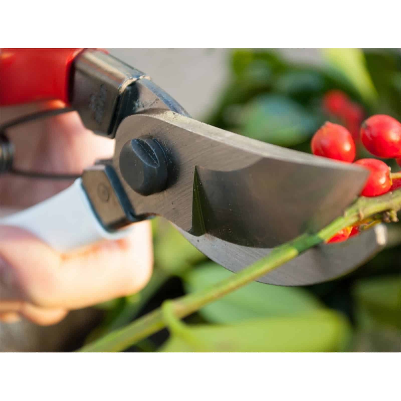 Okatsune lahjapakkaus KST103 + KST108 - Image 7